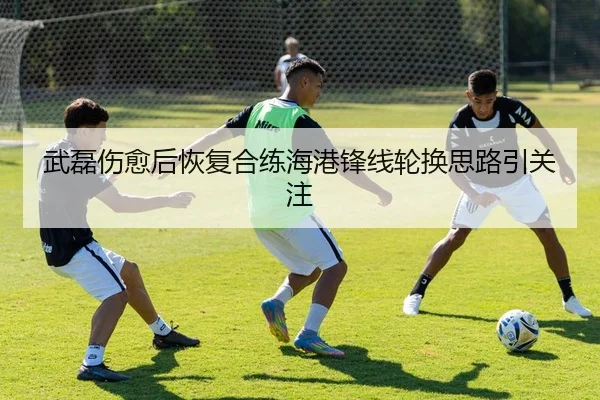 武磊伤愈后恢复合练海港锋线轮换思路引关注